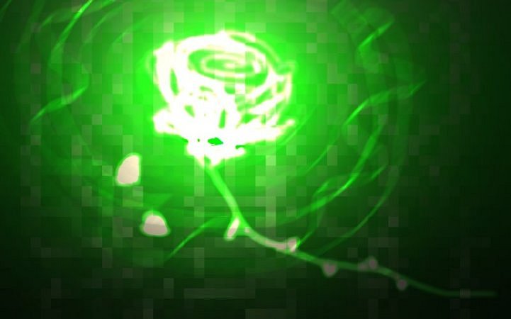 flower2.jpg