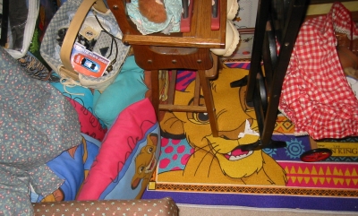 floor - Lion King pillows, rug, throw blanket and stuff.jpg