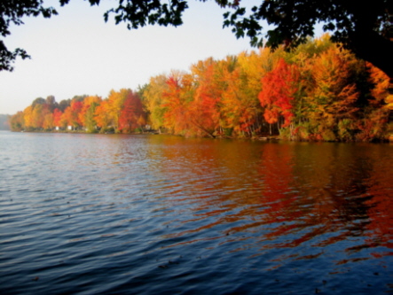 fall at bayshore 4.jpg