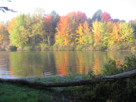 Fall at Bayshore 3.jpeg