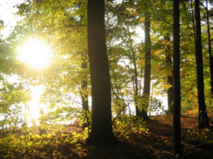 Fall at Bayshore 2.jpg