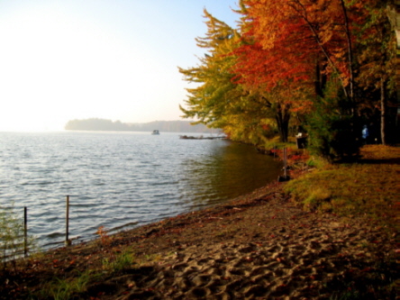 Fall at Bayshore 1.jpg