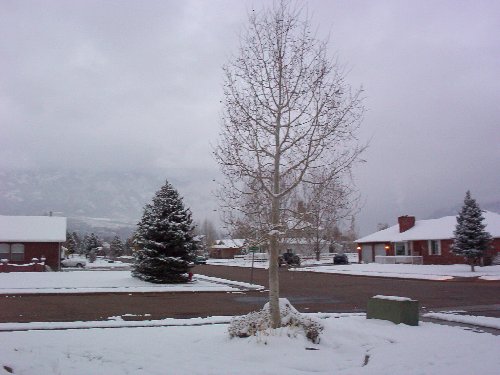 Halloween snow 3.jpg