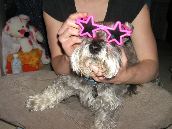 puppyglasses.jpg