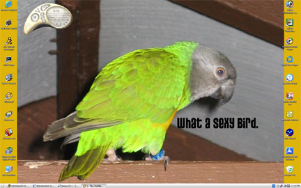 sexybirdscnsht.jpg