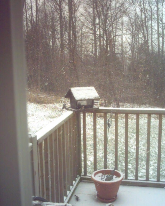 Pict0012.jpg