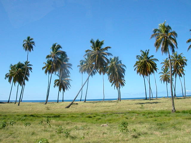 Dscn0690.jpg