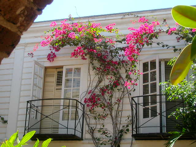 Dscn0717.jpg