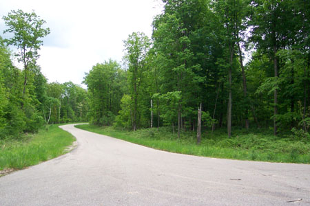 street.jpg