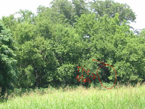 fEdge-field.jpg