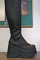 shoe.jpg