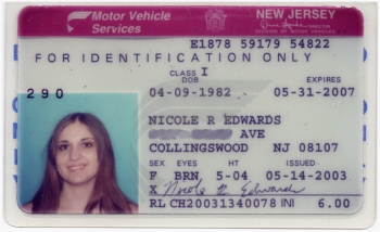 nikkis_id.jpg