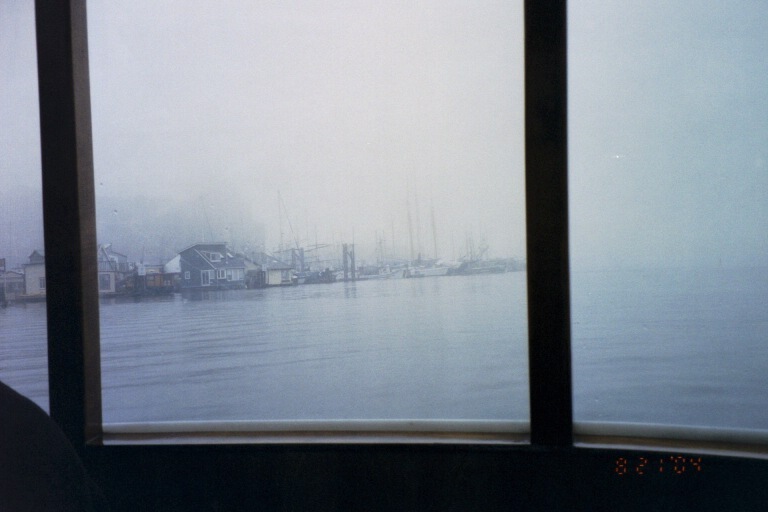fog.jpg