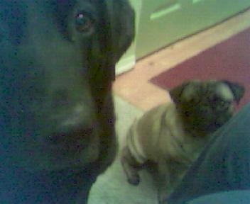 Picture 023.jpg