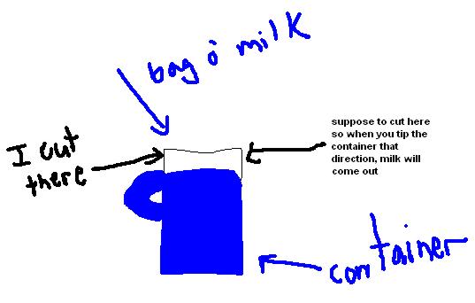 bagomilk.jpg