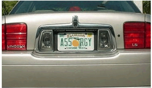 plate.gif