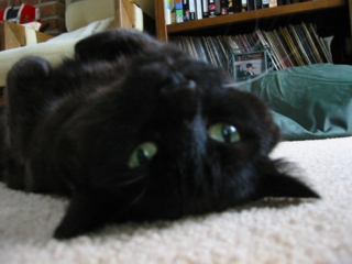 picture 002a.jpg
