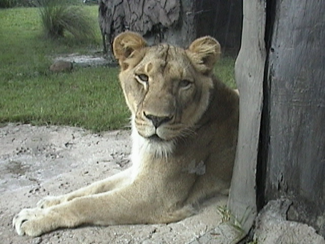 DSC00005.JPG