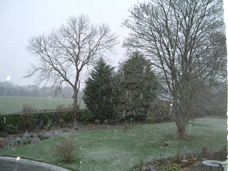 snow2a.jpg