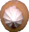 icedgem.jpg