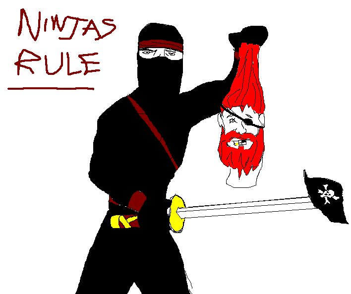 ninja.JPG