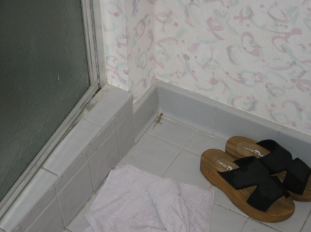 roommate1.jpg