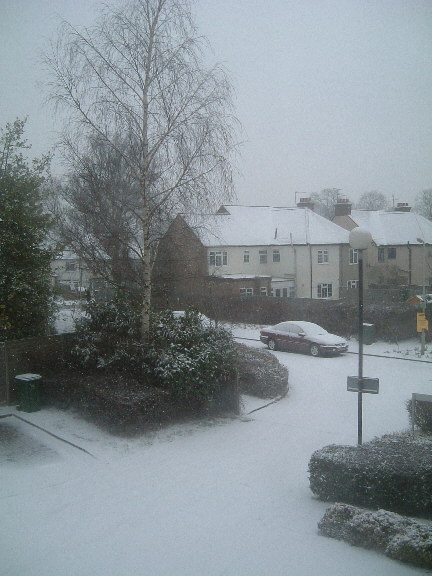 snow_small.jpg