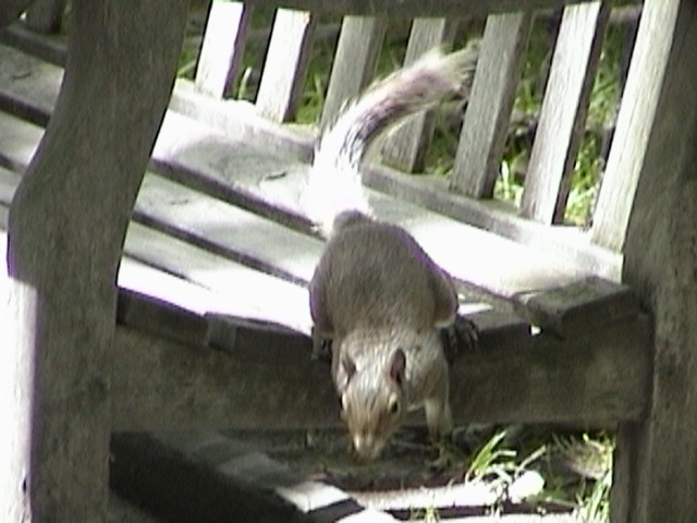 DSC00013.JPG