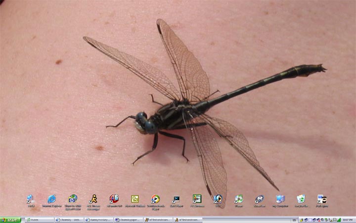 dragonflydesktop.jpg