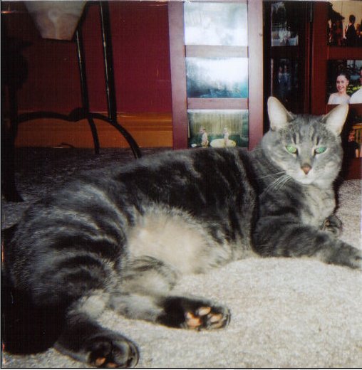 Fig.jpg