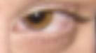 meye.JPG