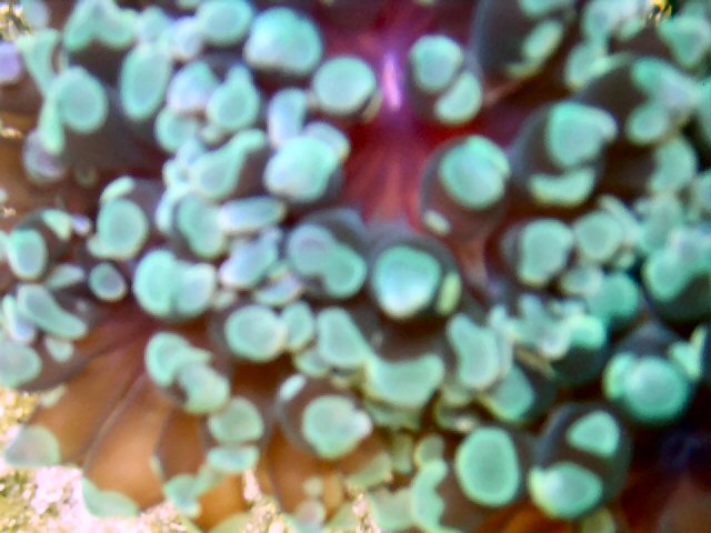 DSCN0968.JPG