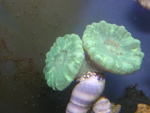 DSCN0962.JPG