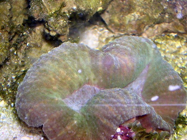 DSCN0938.JPG