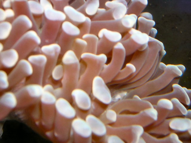 DSCN0947.JPG