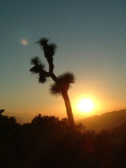 sunset2.jpg