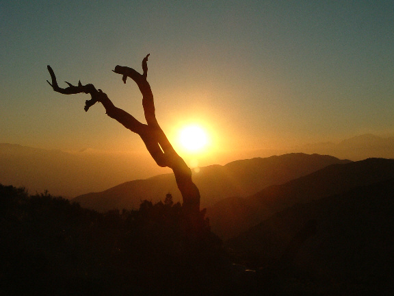 sunset1.jpg