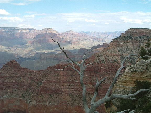 grand canyon 1.jpg