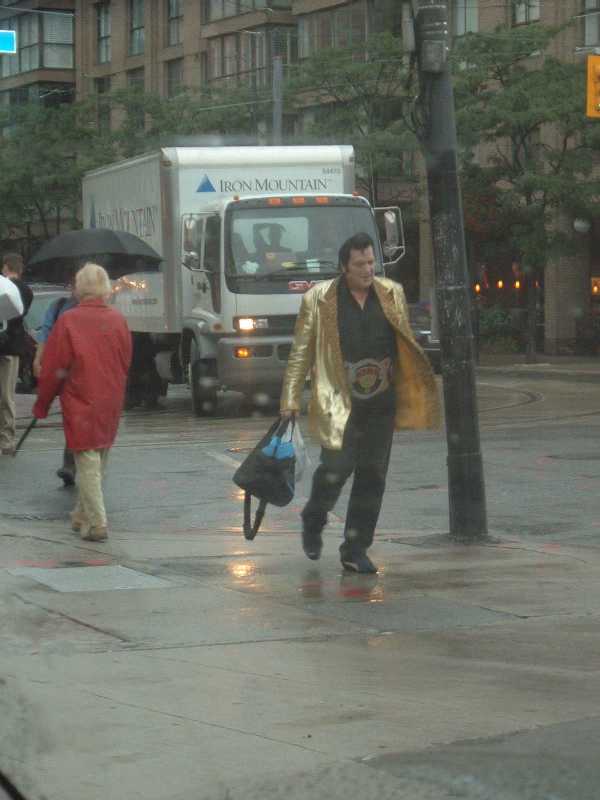 elvis00.jpg