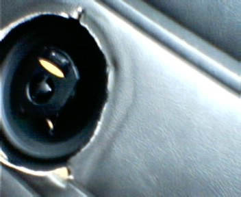 Picture 5.jpg