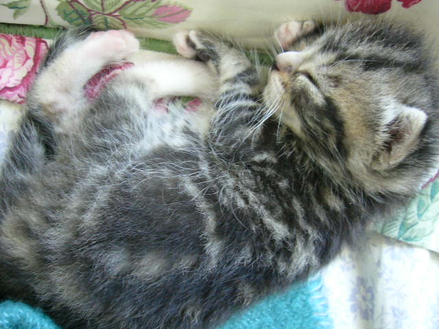 This one was Angel. She was my favourite.
