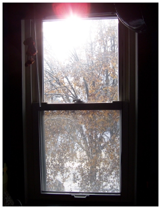 fall_snow_window.jpg