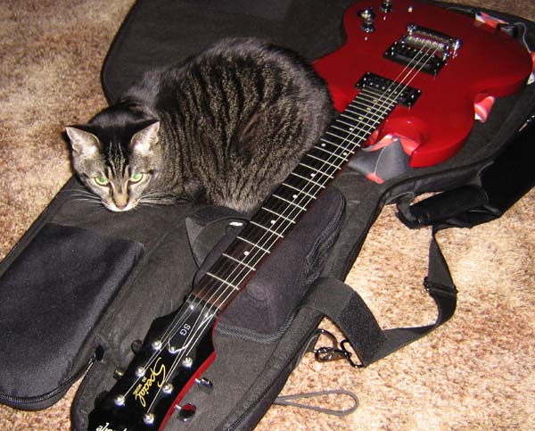 kittyguitar.jpg