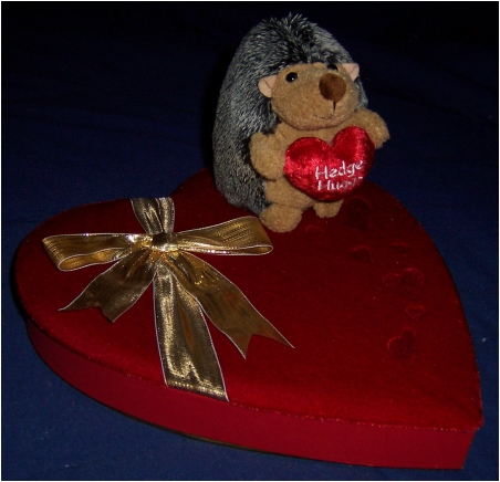 valentines_day_2006.jpg