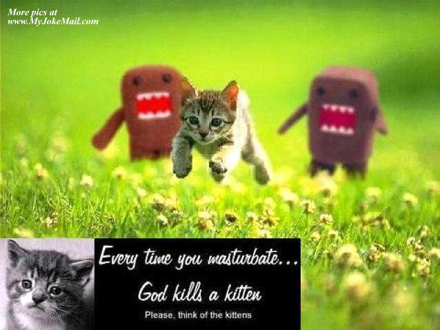 Kitten.jpg
