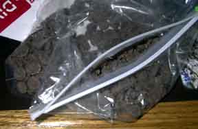 chocochips.jpg