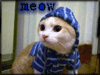 Hi, everyone =)