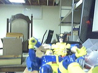 Picture 67.jpg