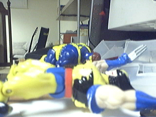 Picture 72.jpg