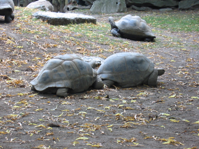 picture 006.jpg